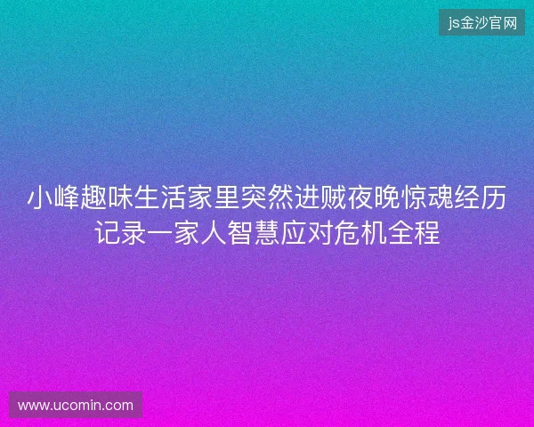 小峰趣味生活家里突然进贼夜晚惊魂经历记录一家人智慧应对危机全程